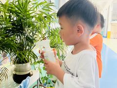 -上海贝贝佳幼儿园