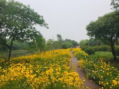 -南湖湿地公园