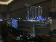 -新加坡文华东方酒店