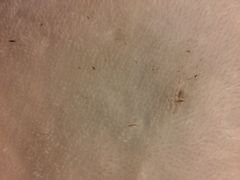 花园酒店-广州花园酒店