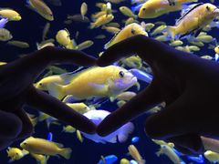 -成都浩海立方海洋公园