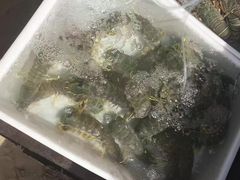 -拉威海鲜市场