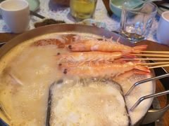 -海桐