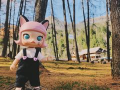 -硗碛藏寨·神木垒景区