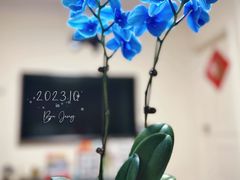 -朝来春花卉市场