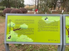 -白鹭湾湿地公园