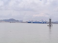 -海鸥岛