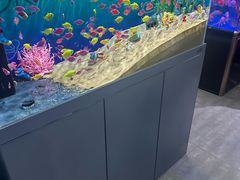 -花鸟鱼虫鲜花绿植市场(玉泉路店)
