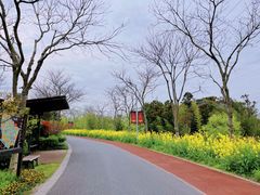 -上海长兴岛郊野公园