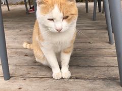 -TIPPI营地 房车主题·露营烧烤团建轰趴(天安假日店)