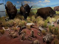 -陕西自然博物馆