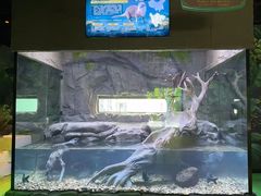 -海合安成都极地海洋公园