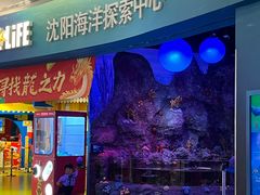 -沈阳海洋探索中心