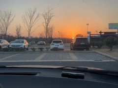 -盐城丹顶鹤湿地生态旅游区