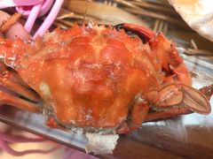 -龙达温泉生态城