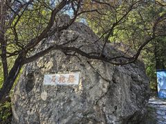 -阳台山自然风景区