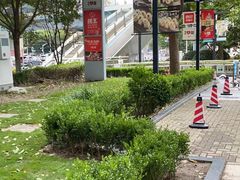 -西贝(金桥店)