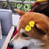 绘厨～咖啡～下午茶