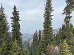 -新疆那拉提国家旅游度假区