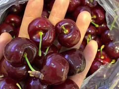 -东方鼎信农副产品交易中心