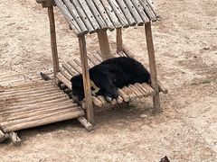 -青藏高原野生动物园