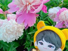 -洛阳市隋唐城遗址植物园