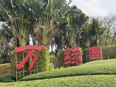 -万绿园