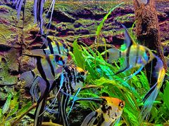 -上海海洋水族馆