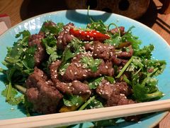 凉拌牛肉-金苑酒家·客家菜·广东老字号(万象店)