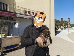 -朱家尖南沙景点