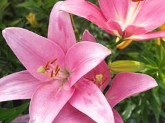 -长春公园(普阳街道)