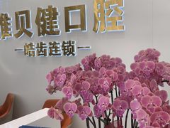 -皓齿连锁·雅贝健口腔·种植·矫正中心(虹口曲阳路店)