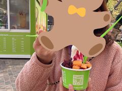 -Salud撒露欧洲冻酸奶(蓝色港湾店)