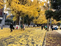 -四川大学(华西校区)