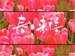 -成都市文化公园