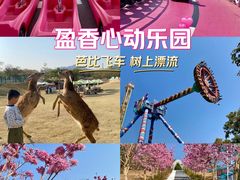-盈香心动乐园