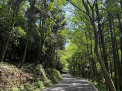 -潜山国家森林公园