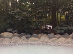 iphone_upload_pic-金方森林温泉