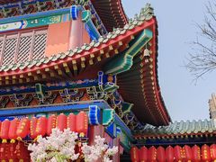 -天津市峰山药王古寺