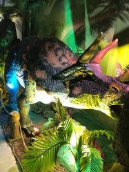 -恐龙探索乐园(磁器口店)