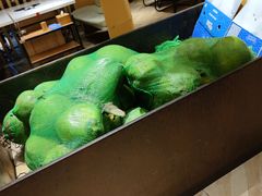 -东椰·海南椰子鸡火锅(朝阳门店)