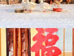 -雾凇岛