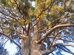 -终南山南五台景区