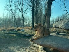-北京野生动物园