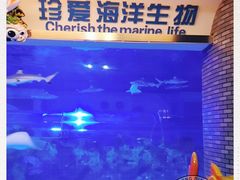 -成都浩海立方海洋公园