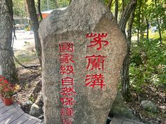 -茅兰沟国家森林公园