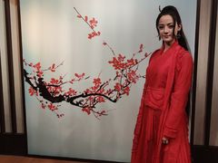 -武汉杜莎夫人蜡像馆