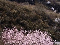 -妙峰山风景名胜区