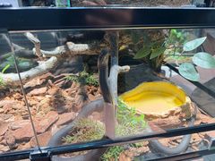 -北京植物园-展览温室