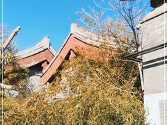 -元大都城垣遗址公园